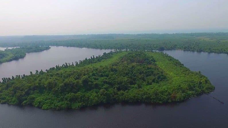Dedduwa Lake, The Emerald Wetland